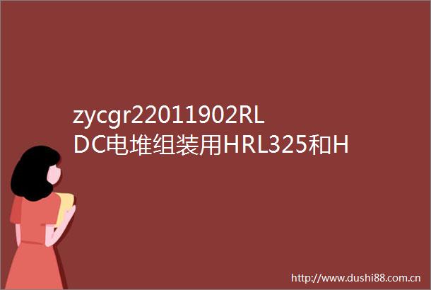 zycgr22011902RLDC电堆组装用HRL325和HRL1300膜电极采购项目成交公告