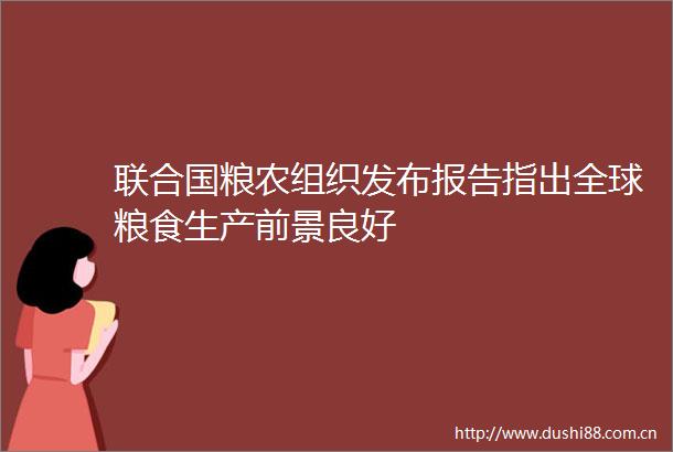 联合国粮农组织发布报告指出全球粮食生产前景良好