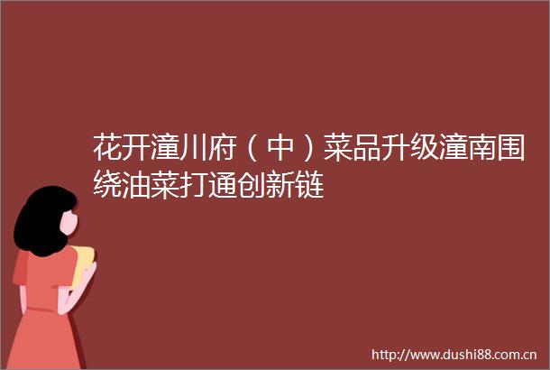 花开潼川府（中）菜品升级潼南围绕油菜打通创新链