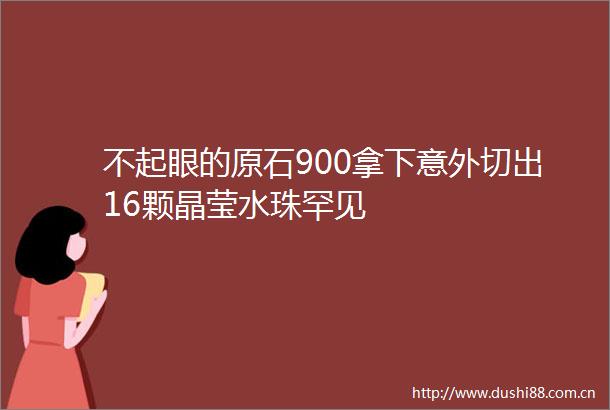 不起眼的原石900拿下意外切出16颗晶莹水珠罕见