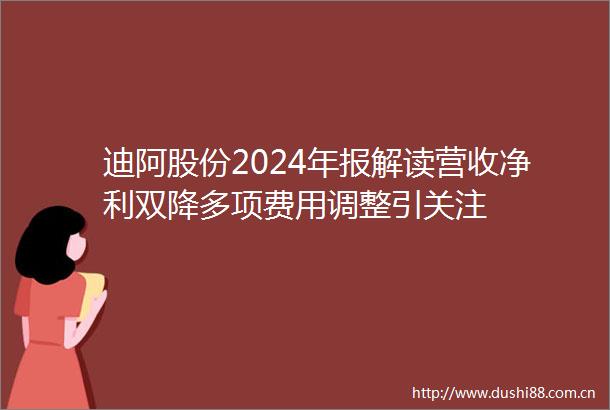迪阿股份2024年报解读营收净利双降多项费用调整引关注