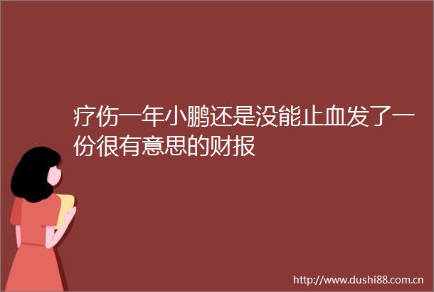 疗伤一年小鹏还是没能止血发了一份很有意思的财报