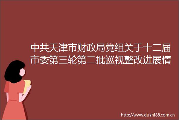 天津市财党组关于十二届市委第三轮第二批巡视整改进展情况的通报