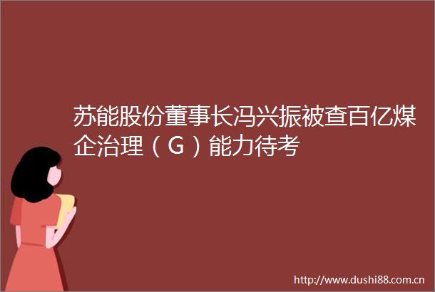 苏能股份董事长冯兴振被查百亿煤企治理（G）能力待考