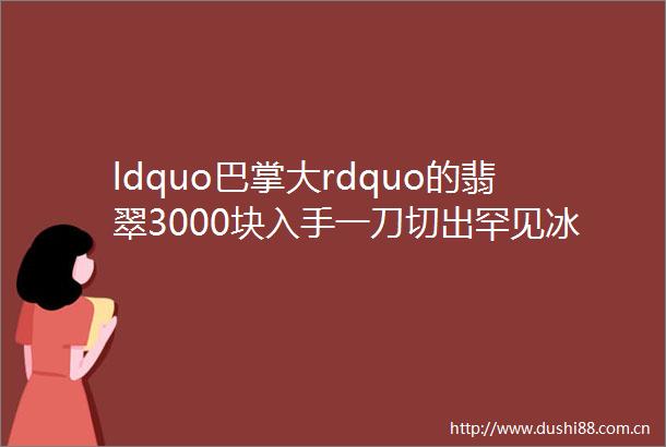 ldquo巴掌大rdquo的翡翠3000块入手一刀切出罕见冰种飘蓝花美到想哭