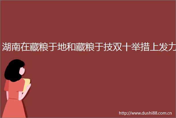 湖南在藏粮于地和藏粮于技双十举措上发力