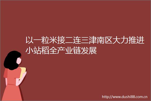 以一粒米接二连三津南区大力推进小站稻全产业链发展
