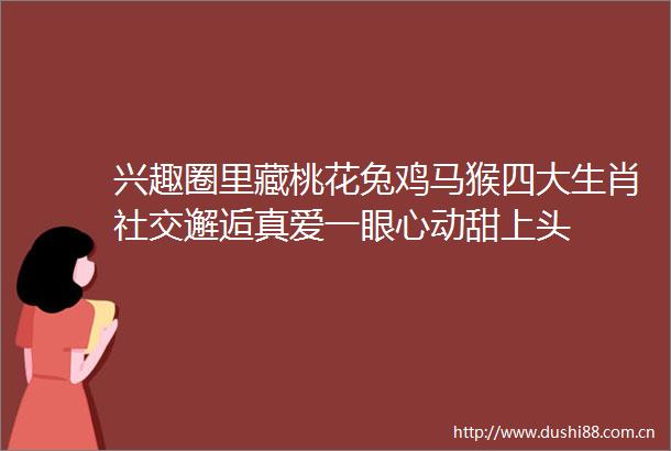 兴趣圈里藏桃花兔鸡马猴四大生肖社交邂逅真爱一眼心动甜上头