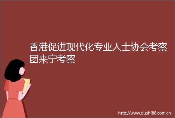香港促进现代化专业人士协会考察团来宁考察