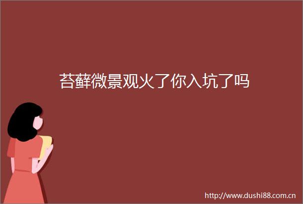 苔藓微景观火了你入坑了吗