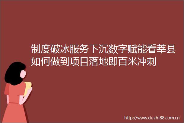 制度破冰服务下沉数字赋能看莘县如何做到项目落地即百米冲刺