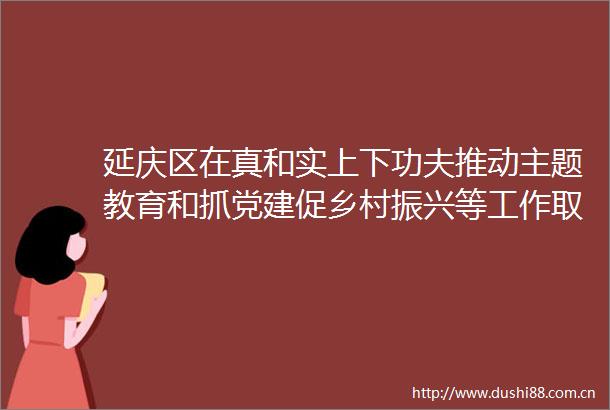 延庆区在真和实上下功夫推动主题教育和抓党建促乡村振兴等工作取得更大成效