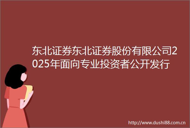 东北证券东北证券股份有限公司2025年面向专业投资者公开发行科技创新次级债券（第一期）发行公告