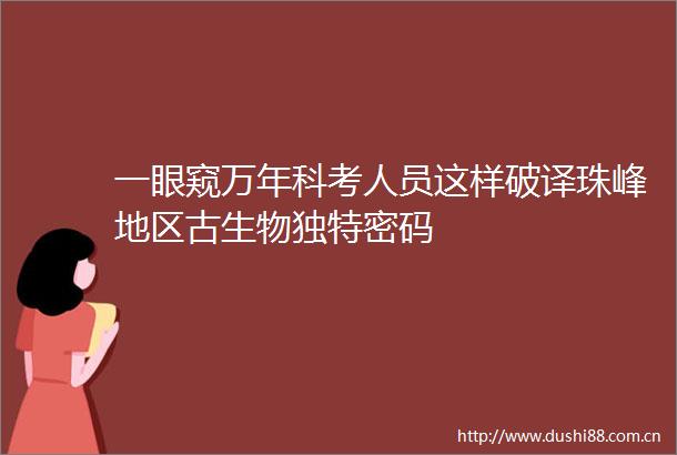 一眼窥万年科考人员这样破译珠峰地区古生物独特密码
