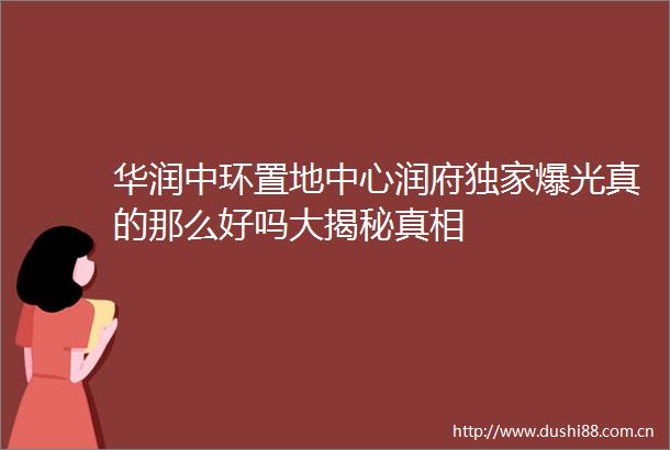 华润中环置地中心润府独家爆光真的那么好吗大揭秘真相