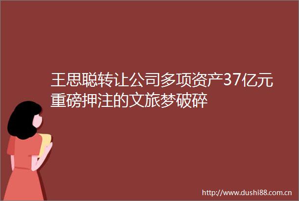 王思聪转让公司多项资产37亿元重磅押注的文旅梦破碎