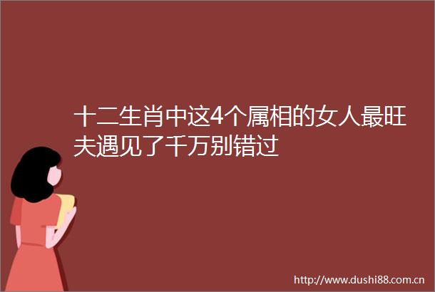 十二生肖中这4个属相的女人最旺夫遇见了千万别错过