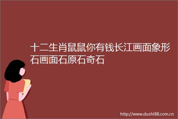 十二生肖鼠鼠你有钱长江画面象形石画面石原石奇石