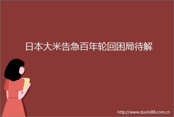 大米告急百年轮回困局待解