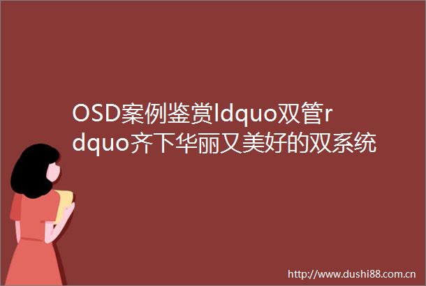 OSD案例鉴赏ldquo双管rdquo齐下华丽又美好的双系统私人影音室
