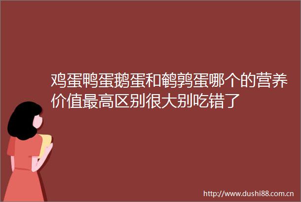 鸡蛋鸭蛋鹅蛋和鹌鹑蛋哪个的营养价值最高区别很大别吃错了
