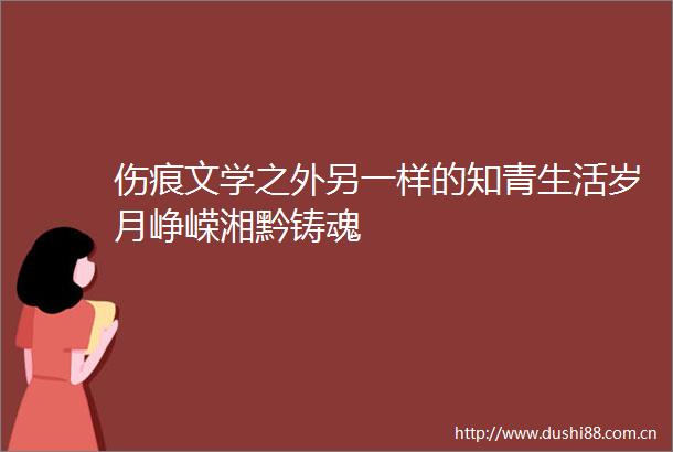 伤痕文学之外另一样的知青生活岁月峥嵘湘黔铸魂