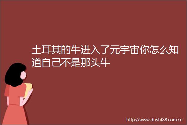 土耳其的牛进入了元宇宙你怎么知道自己不是那头牛