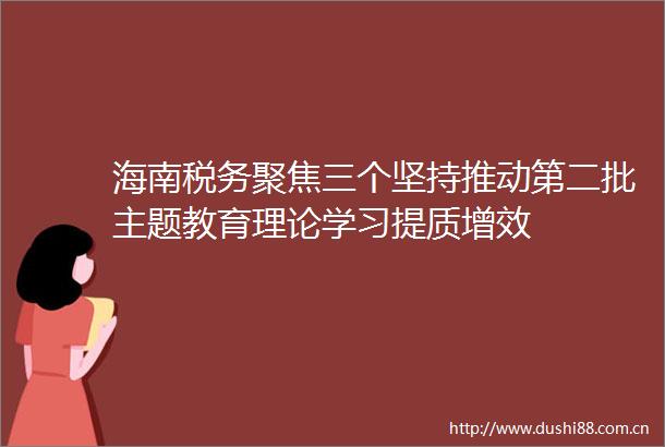 海南税务聚焦三个坚持推动第二批主题教育理论学习提质增效