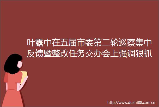 叶露中在五届市委第二轮巡察集中反馈暨整改任务交办会上强调狠抓整改落实强化成果运用以实际成效迎接党的二十大胜利召开