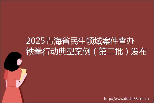 2025青海省民生领域案件查办铁拳行动典型案例（第二批）发布