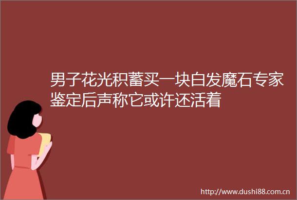男子花光积蓄买一块白发魔石专家鉴定后声称它或许还活着