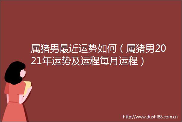 属猪男最近运势如何（属猪男2021年运势及运程每月运程）