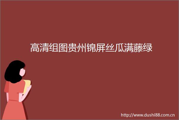 高清组图贵州锦屏丝瓜满藤绿