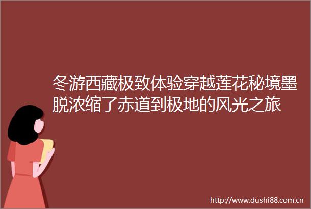 冬游西藏极致体验穿越莲花秘境墨脱浓缩了赤道到极地的风光之旅