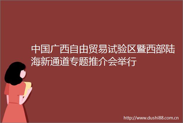 广西自由贸易试验区暨西部陆海新通道专题推介会举行