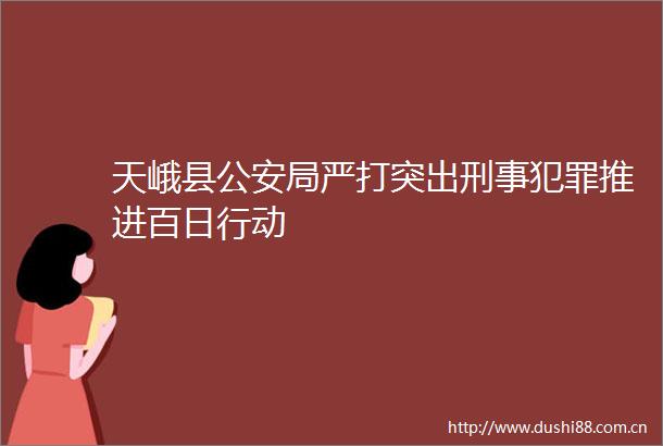 天峨县局严打突出刑事推进百日行动