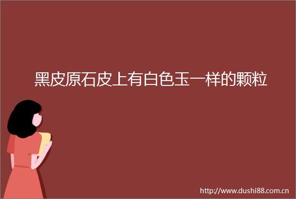 黑皮原石皮上有白色玉一样的颗粒