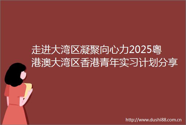 走进大湾区凝聚向心力2025粤港澳大湾区香港青年实习计划分享对接会成功举办