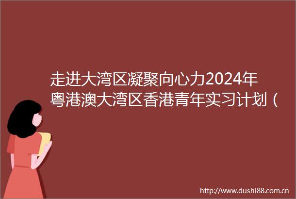 走进大湾区凝聚向心力2024年粤港澳大湾区香港青年实习计划（广州）交流活动成功举办