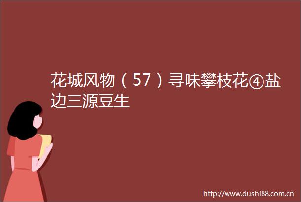 花城风物（57）寻味攀枝花④盐边三源豆生