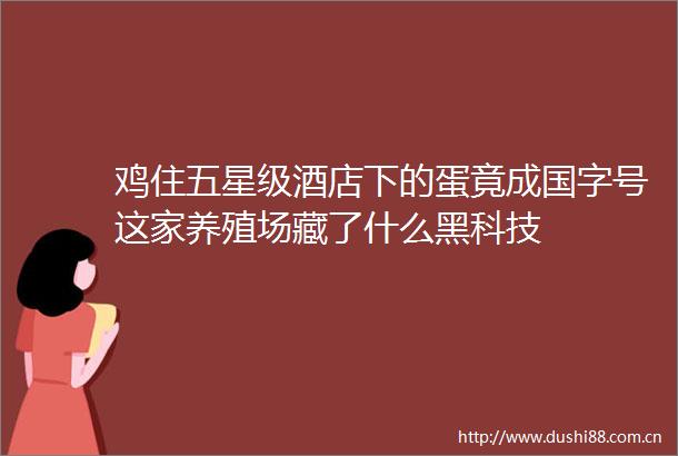 鸡住五星级酒店下的蛋竟成国字号这家养殖场藏了什么黑科技