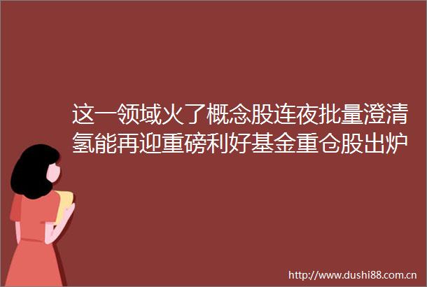 这一领域火了概念股连夜批量澄清氢能再迎重磅利好基金重仓股出炉