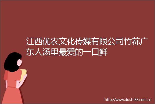江西优农文化传媒有限公司竹荪广东人汤里最爱的一口鲜