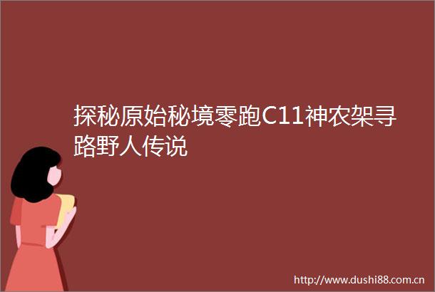 探秘原始秘境零跑C11神农架寻路野人传说