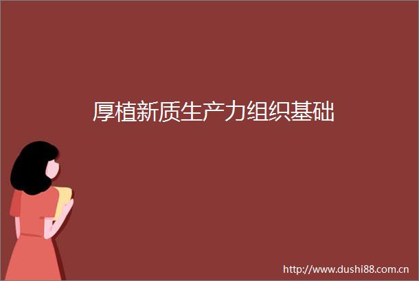 厚植新质生产力组织基础