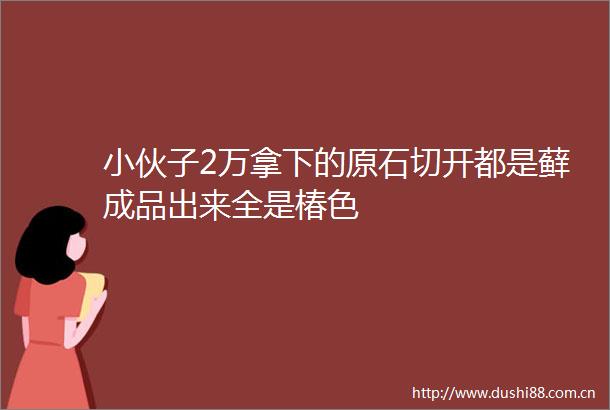 小伙子2万拿下的原石切开都是藓成品出来全是椿色
