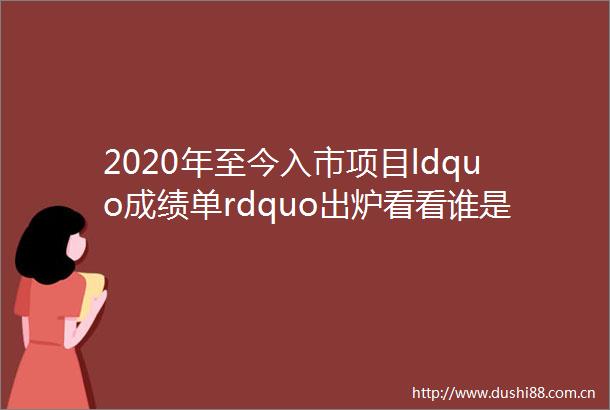 2020年至今入市项目ldquo成绩单rdquo出炉看看谁是ldquo真学霸rdquo