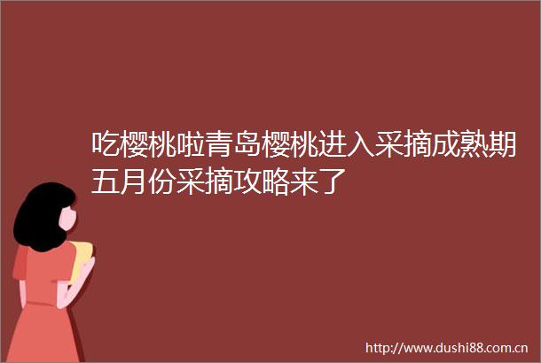 吃樱桃啦青岛樱桃进入采摘成熟期五月份采摘攻略来了