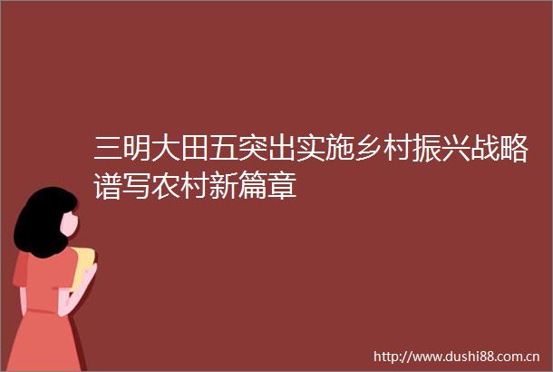 三明大田五突出实施乡村振兴战略谱写农村新篇章