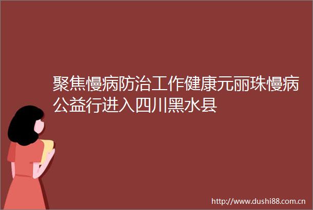 聚焦慢病防治工作健康元丽珠慢病公益行进入四川黑水县